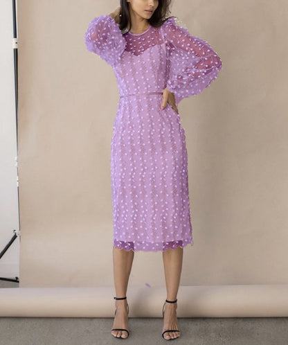 New Ladies Style Embroidered Perspective Mesh Dress