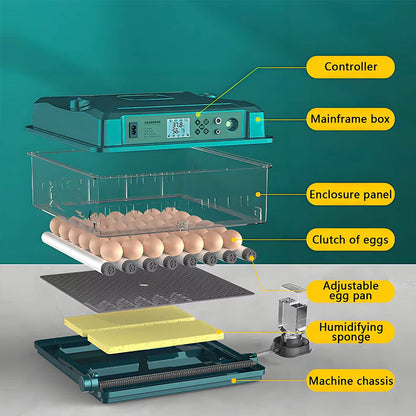 24/36 Egg Incubator Fully Automatic, Auto Turner & Temp Control, Dual Power 220V/12V Mini Poultry Hatcher for Chicken Duck