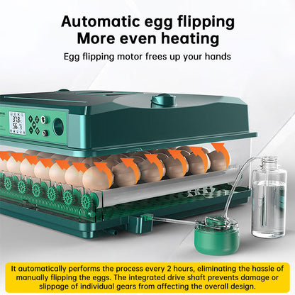 24/36 Egg Incubator Fully Automatic, Auto Turner & Temp Control, Dual Power 220V/12V Mini Poultry Hatcher for Chicken Duck