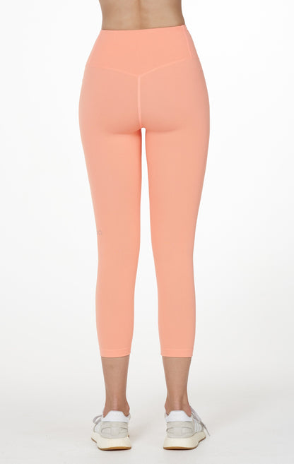 Copy of Hybrid Cloudlux Capri Legging 20"