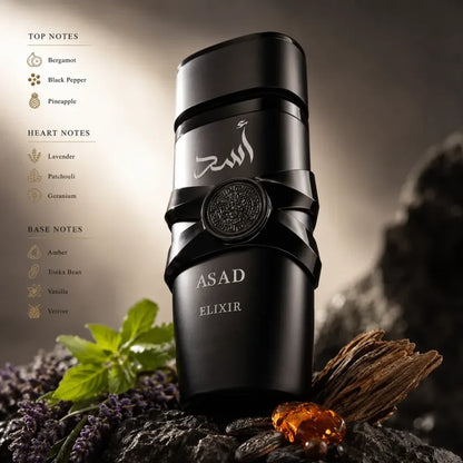 Asad Elixir Men EDP Perfume 100ml, Spicy Woody Oriental Long Lasting Arabian Style Fragrance, Masculine Cologne for Daily & Evening Wear